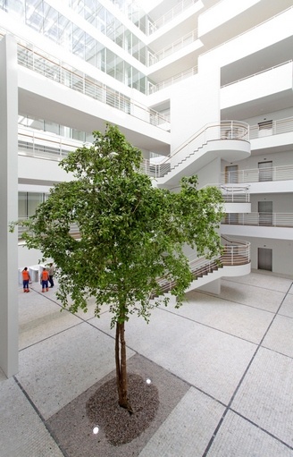 city_green_court_atrium_511